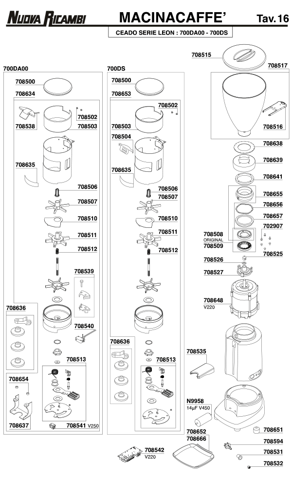 Ceado 05